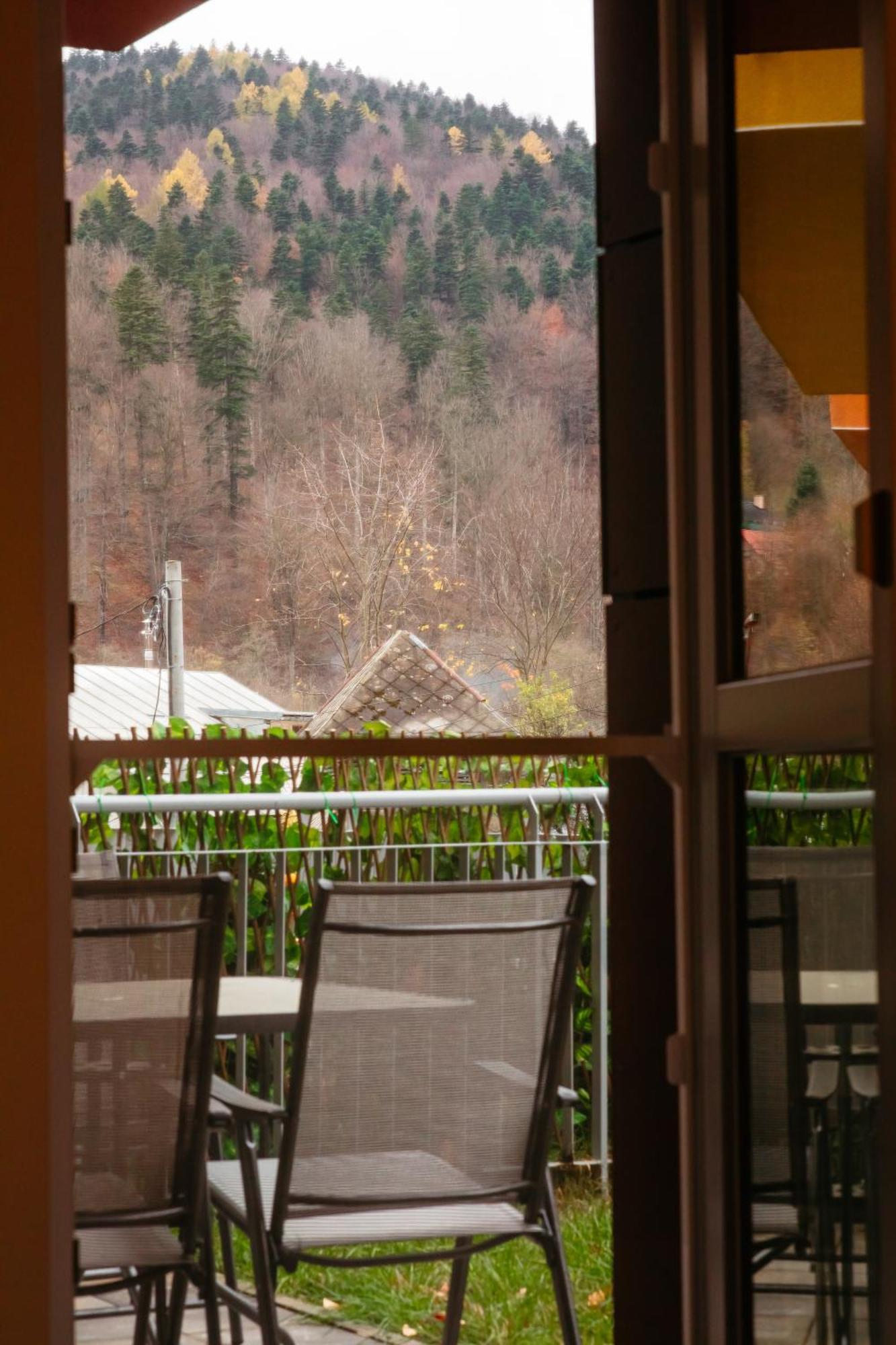Mountain Retreat Apartment Sinaia Luaran gambar